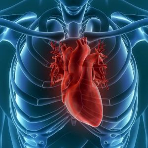 EP-Herzkatheter sind wertvolle Lebensretter (Foto: unlimit3d, Fotolia)