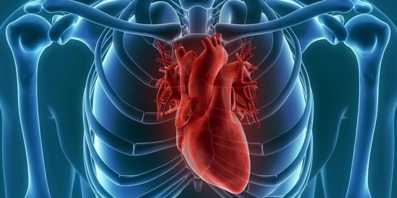 EP-Herzkatheter sind wertvolle Lebensretter (Foto: unlimit3d, Fotolia)