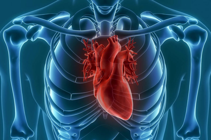 EP-Herzkatheter sind wertvolle Lebensretter (Foto: unlimit3d, Fotolia)