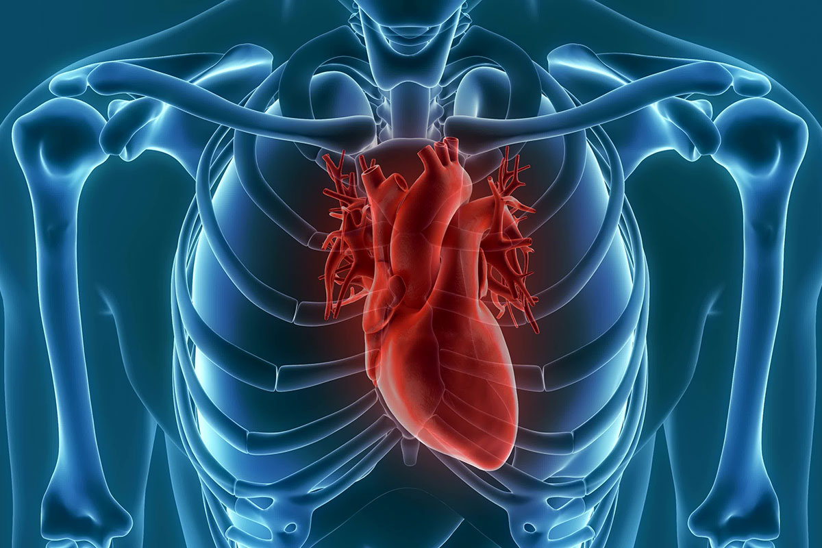 EP-Herzkatheter sind wertvolle Lebensretter (Foto: unlimit3d, Fotolia)