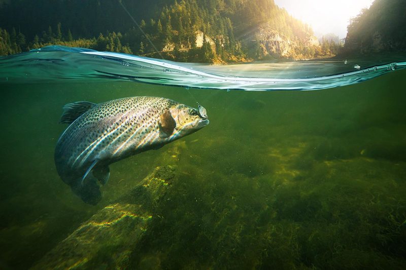 Arzneimittelstoffe und deren Abbauprodukte belasten flächendeckend die Gewässer. (Foto: vitaliy_melnik, Fotolia)