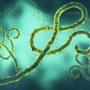 Hochinfektiöser Ebolavirus: Die Entsorgung von kontaminierten Abfällen muss gut geplant sein. (Foto: Jezperklauzen, iStock)