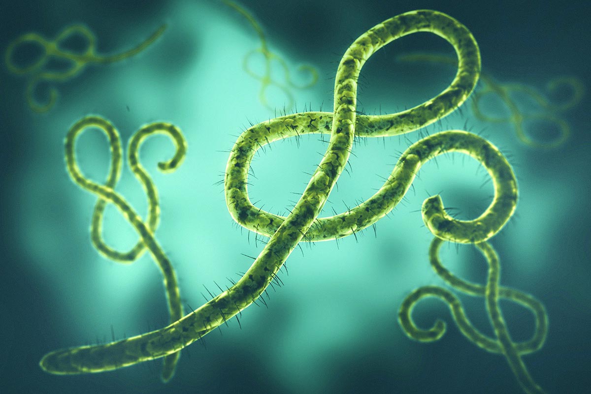 Hochinfektiöser Ebolavirus: Die Entsorgung von kontaminierten Abfällen muss gut geplant sein. (Foto: Jezperklauzen, iStock)