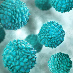 Noroviren sind hoch infektiös und verursachen schwere Magen-Darm-Erkrankungen (Foto: fotoliaxrender)