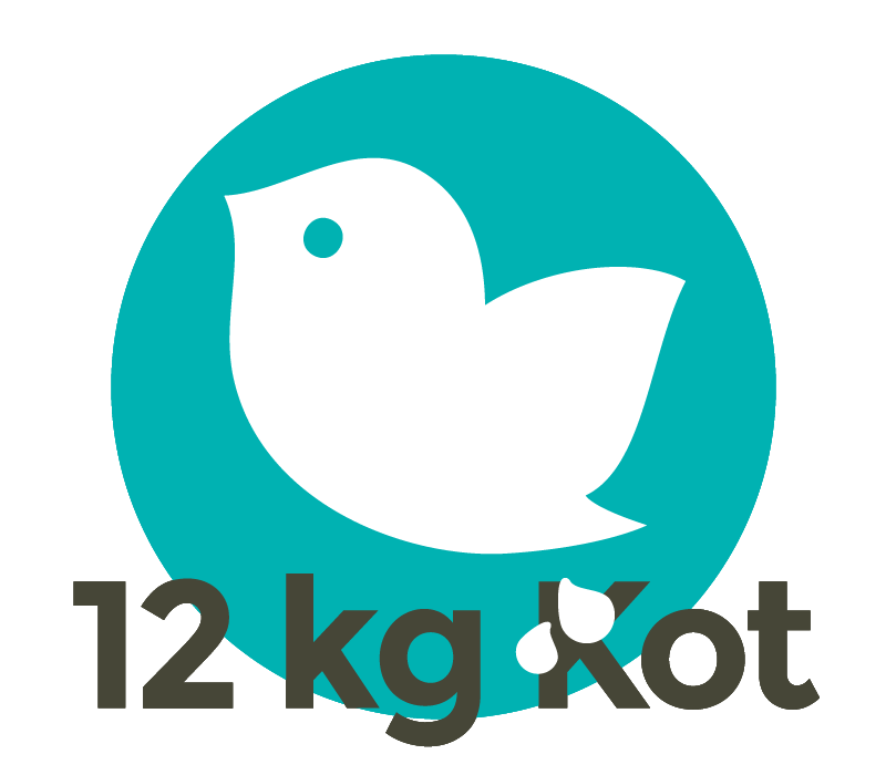 Eine Taube verursacht pro Jahr bis zu 12 Kilogramm Nasskot
