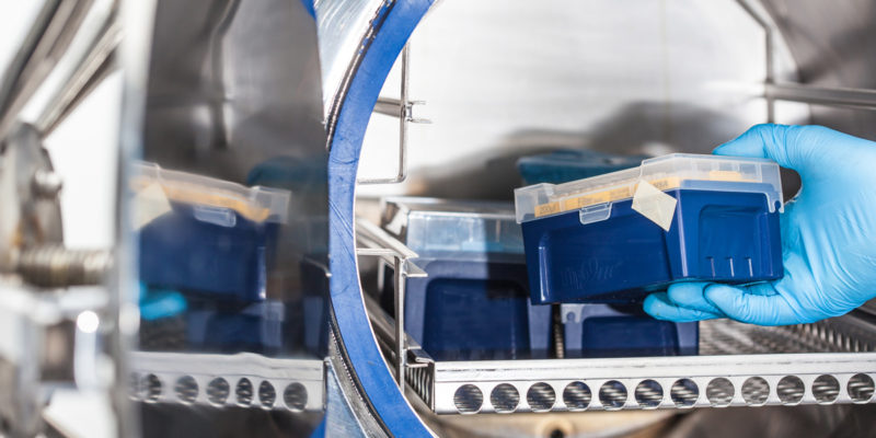Gemäß Biostoffverordnung (BioStoffV) zählen TSE-Erreger zu den biologischen Arbeitsstoffen. (Foto: anamejia18, Fotolia)