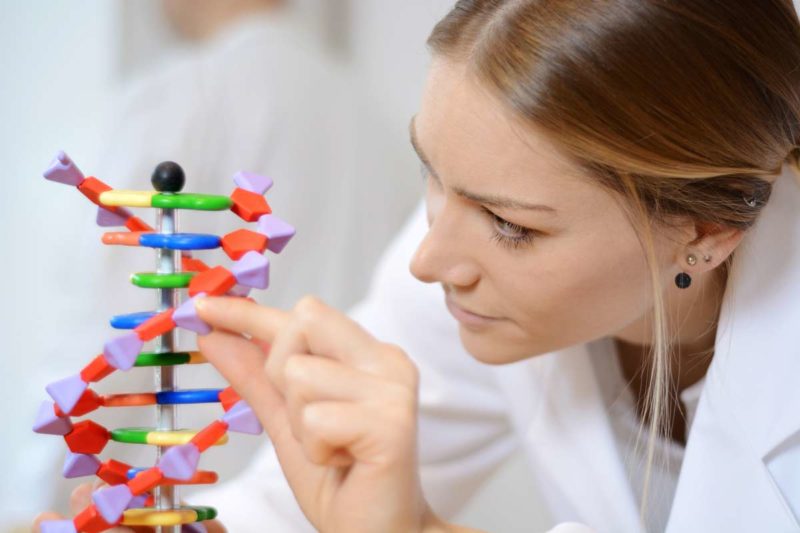 Im Gentechnikgesetz wird der Umgang mit gentechnisch veränderteren Organismen geregelt. (Foto: Dan Race, Fotolia)