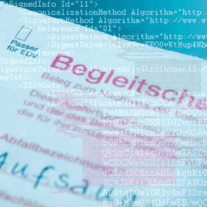 Für die Entsorgung gefährlicher Abfälle besteht eine Nachweispflicht (Foto: Streetz, REGISTA)