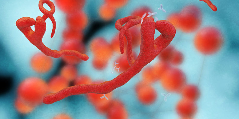 Es gibt zahlreiche Krankheiten (Hepatitis, Tuberkulose, Ruhr, MRSA, etc.) bei denen infektiöse Abfälle entstehen können (Foto: AdobeStock, fotoliaxrender)