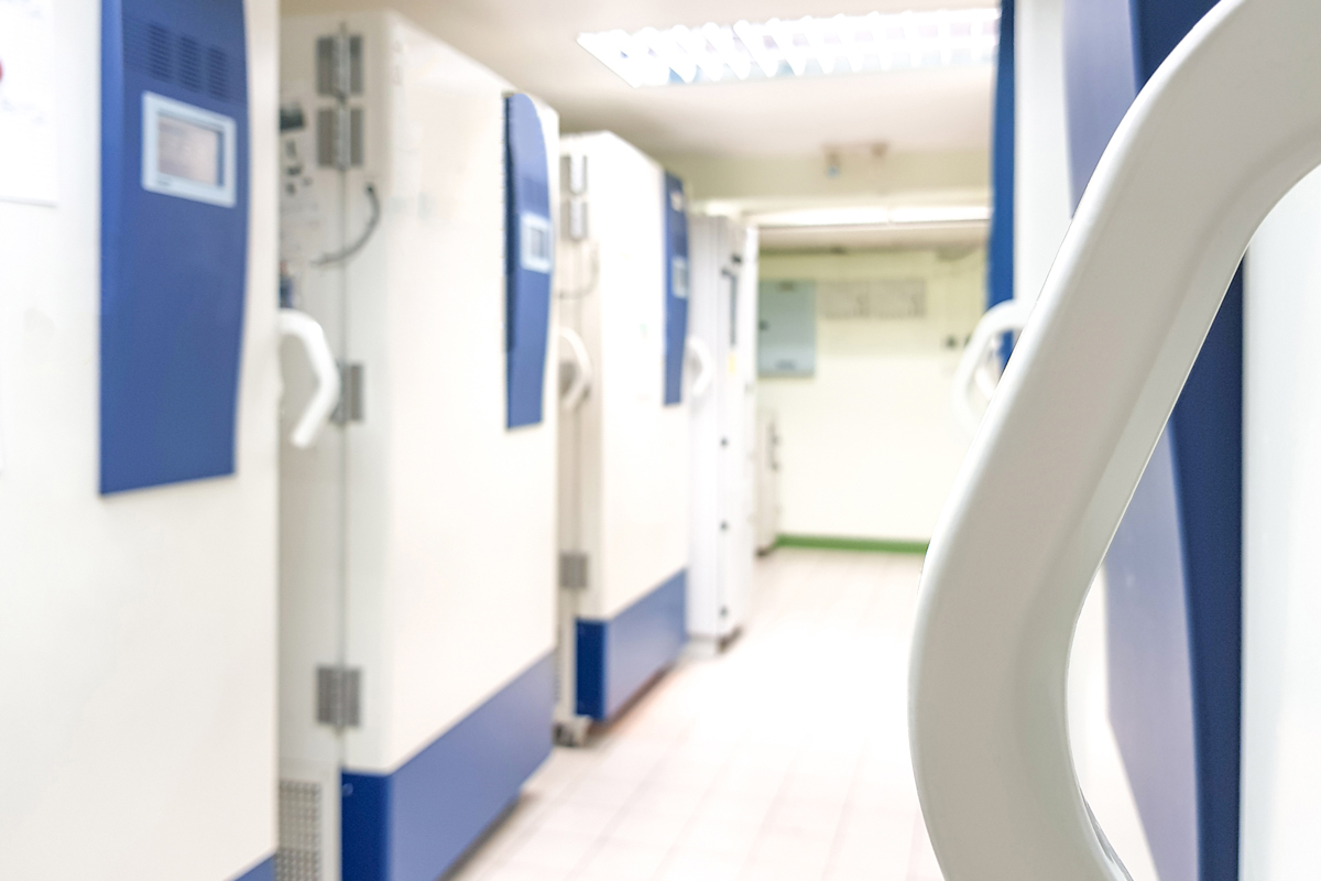 Foto: Pornpak Khunatorn, iStock)