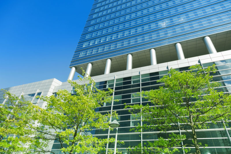 Bereits heute gibt es für Abfallbeauftragte viele Ansätze für die Umsetzung von Nachhaltigkeitsprojekten (Foto: AdobeStock, Tiberius Gracchus)