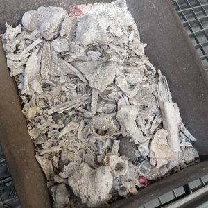 Wenn die Asche aus dem Ofen kommt, kühlt sie zunächst etwas ab, bevor sie dann von den Mitarbeitern aufbereitet wird. Die Metallteile werden entnommen und die Asche wird in einer Mühle fein gemahlen (Foto: Abfallmanager Medizin)